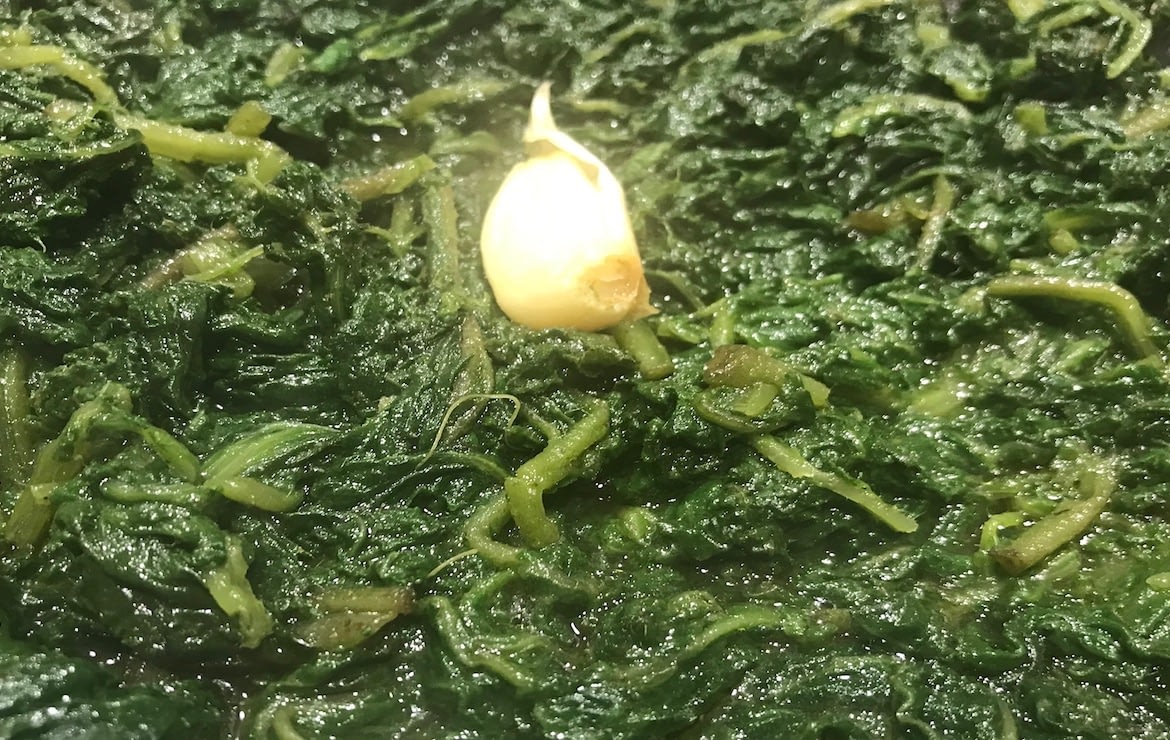 Borragine: la pianta più buona e più bella mai ricevuta in regalo!